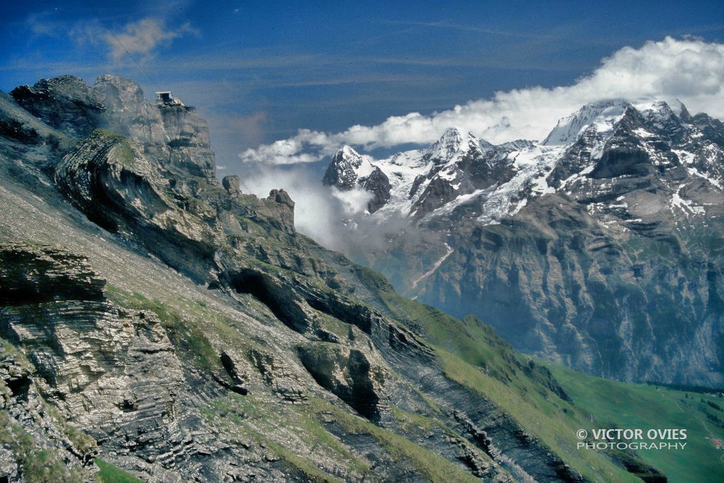 The Alps from Schilthorn